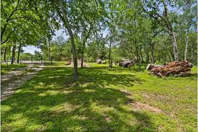 1242 Ervendberg Avenue, New Braunfels, TX 78130 - Photo 13