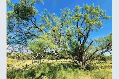 290 Cr 409, Cherokee, TX 76832 - Photo 7