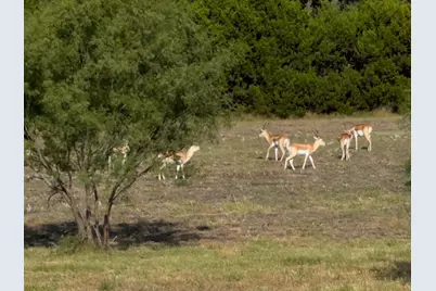 Lot 160 Brumley View Court, Marble Falls, TX 78654 - Photo 39