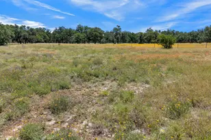 1830 Old Marble Falls Rd, Round Mountain, TX 78663 - Photo 1