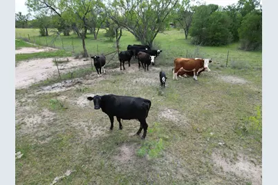 261 Cr 120, Marble Falls, TX 78654 - Photo 19