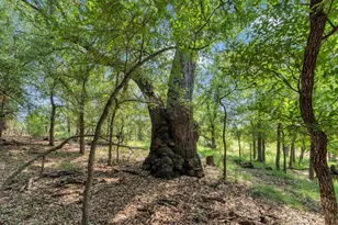 627 Ranch Rd 2323, Llano, TX 78643 - Photo 43