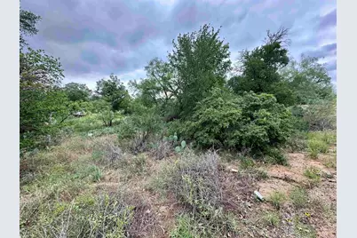 Lot 249 Cactus Trail, Kingsland, TX 78639 - Photo 1