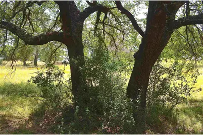 W2091 Turquoise, Horseshoe Bay, TX 78657 - Photo 11