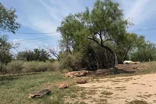 117 N Pass, Kingsland, TX 78639 - Photo 39