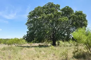 530 County Rd 406, San Saba, TX 76877 - Photo 37