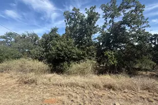 Tbd Cree Trail, Kingsland, TX 78639 - Photo 1