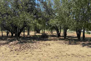 Lot #494 Driftwood Ln, Cottonwood Shores, TX 78657 - Photo 1