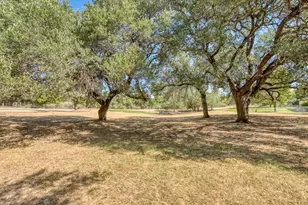 3424 Papoose Trail, Kingsland, TX 78639 - Photo 9