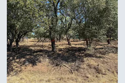 Lots 290 & 291 Maple, Granite Shoals, TX 78654 - Photo 3