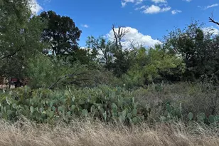 Woodcrest, Granite Shoals, TX 78654 - Photo 1