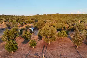 9103 E Rm 1431, Marble Falls, TX 78654 - Photo 17
