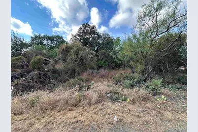 783-786 Hill Drive, Granite Shoals, TX 78654 - Photo 3