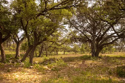 2551 Prochnow Road, Dripping Springs, TX 78650 - Photo 9