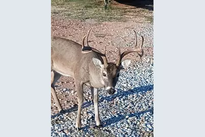 N12220 10th Avenue, Necedah, WI 54646 - Photo 1