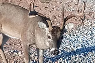 N12220 10th Ave, Necedah, WI 54646 - Photo 1