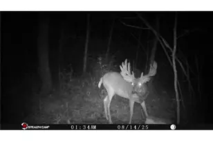 530 335th Ave, Frederic, WI 54837 - Photo 1