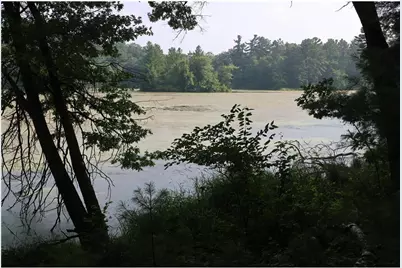 Lot 11 103rd Street, Frederic, WI 54837 - Photo 1