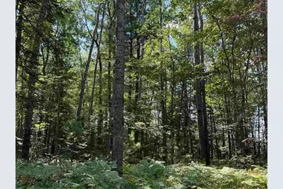 Xxx W Gravel Pit Road, Iron Ridge, WI 54847 - Photo 1