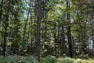 Xxx W Gravel Pit Rd, Iron Ridge, WI 54847 - Photo 1