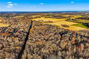 Tbd State Road 65, Amery, WI 54001 - Photo 1
