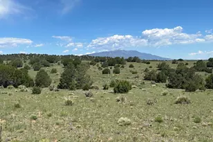 Lot 19 Rio Cucharas, Walsenburg, CO 81089 - Photo 1