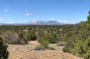 Lot 898 Rio Cucharas, Walsenburg, CO 81089 - Photo 1