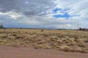 1761 E Tenderfoot Ln, Pueblo West, CO 81007 - Photo 1