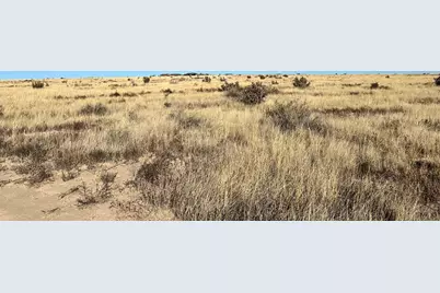 1392 N Blazing Star Lane, Pueblo West, CO 81007 - Photo 1