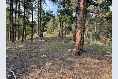 302 Oak Rd, Westcliffe, CO 81252 - Photo 1