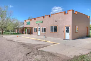 25447 Hwy 69, Gardner, CO 81040 - Photo 1