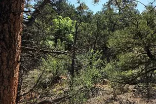 506 Kevin Dr, Cotopaxi, CO 81223 - Photo 1