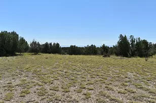 Tbd County Rd 93 9, Trinidad, CO 81082 - Photo 1