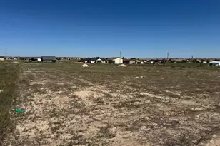 1107 E Gold Rush, Pueblo West, CO 81007 - Photo 1