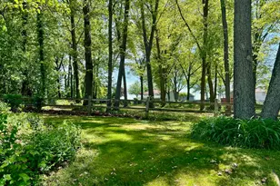 55420 Forest Cove Ct, New Carlisle, IN 46552 - Photo 1