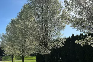 17131 Ridgefield Ct, Granger, IN 46530 - Photo 33