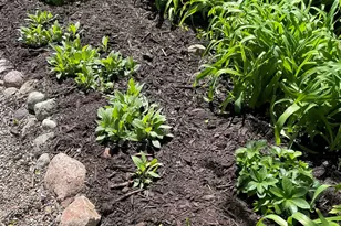 1854 Altgeld St, South Bend, IN 46614 - Photo 5