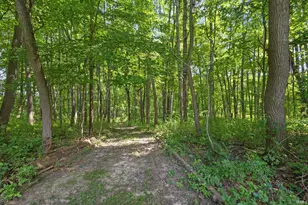 26670 Brush Trail, South Bend, IN 46628 - Photo 43