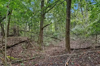 51200 Lilac Road, South Bend, IN 46628 - Photo 13