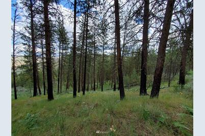 0 570X Tunk Creek Road, Riverside, WA 98849 - Photo 1