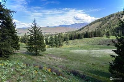 102 Elbow Canyon Road, Twisp, WA 98856 - Photo 1
