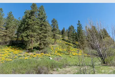 10690 Fox Road, Leavenworth, WA 98826 - Photo 9