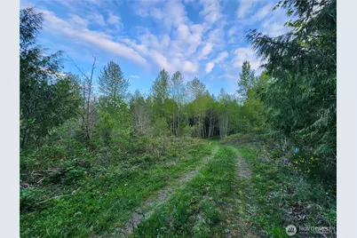 992 Sunrise Road, Brinnon, WA 98320 - Photo 3