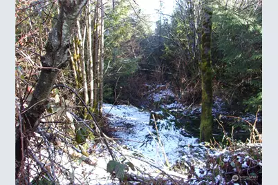 992 Sunrise Road, Brinnon, WA 98320 - Photo 15