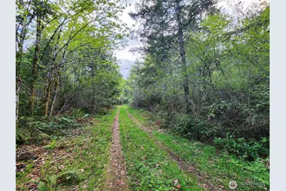 992 Sunrise Road, Brinnon, WA 98320 - Photo 9