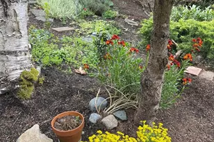 3917 Mallard Point Dr, Anacortes, WA 98221 - Photo 5