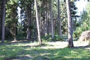 110 Bartroff Rd, Oroville, WA 98844 - Photo 35