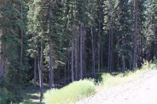 110 Bartroff Rd, Oroville, WA 98844 - Photo 31