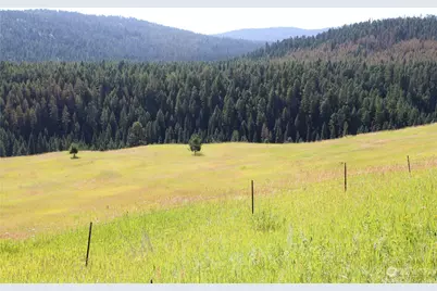 110 Bartroff Road, Oroville, WA 98844 - Photo 37