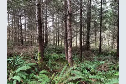 217 Xx Thompson Creek Road, Tenino, WA 98589 - Photo 5